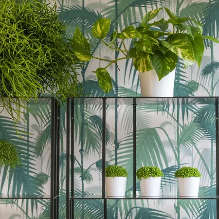 Enight גרדיניון